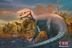 阿根廷新发现南美捕食性恐龙化石 阿根廷新发现南美捕食性恐龙化石